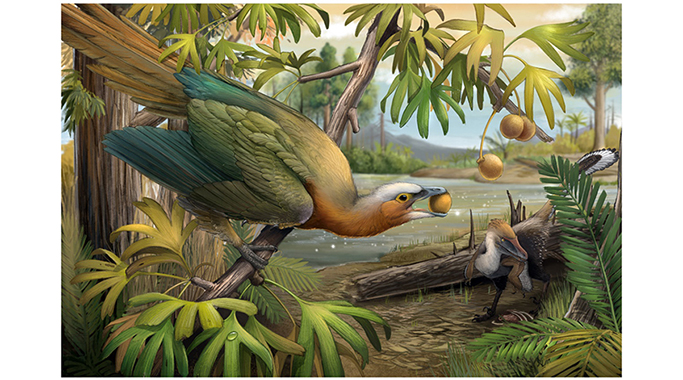 植食性古鸟类 (左)和小型掠食性恐龙(右)生态复原