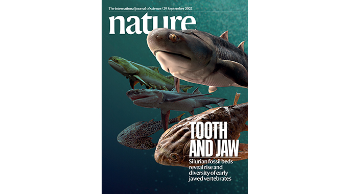 齿与颌：志留纪鱼类化石揭示有颌脊椎动物崛起与最初辐射分化