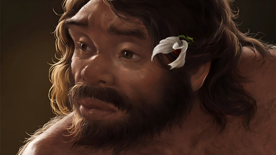 百万年前头骨化石改写人类家谱 中国新研究刷新人类演化时间线,证实丹尼索瓦人属于龙人支系